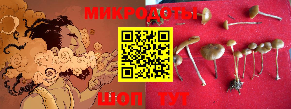 МДМА Раменское